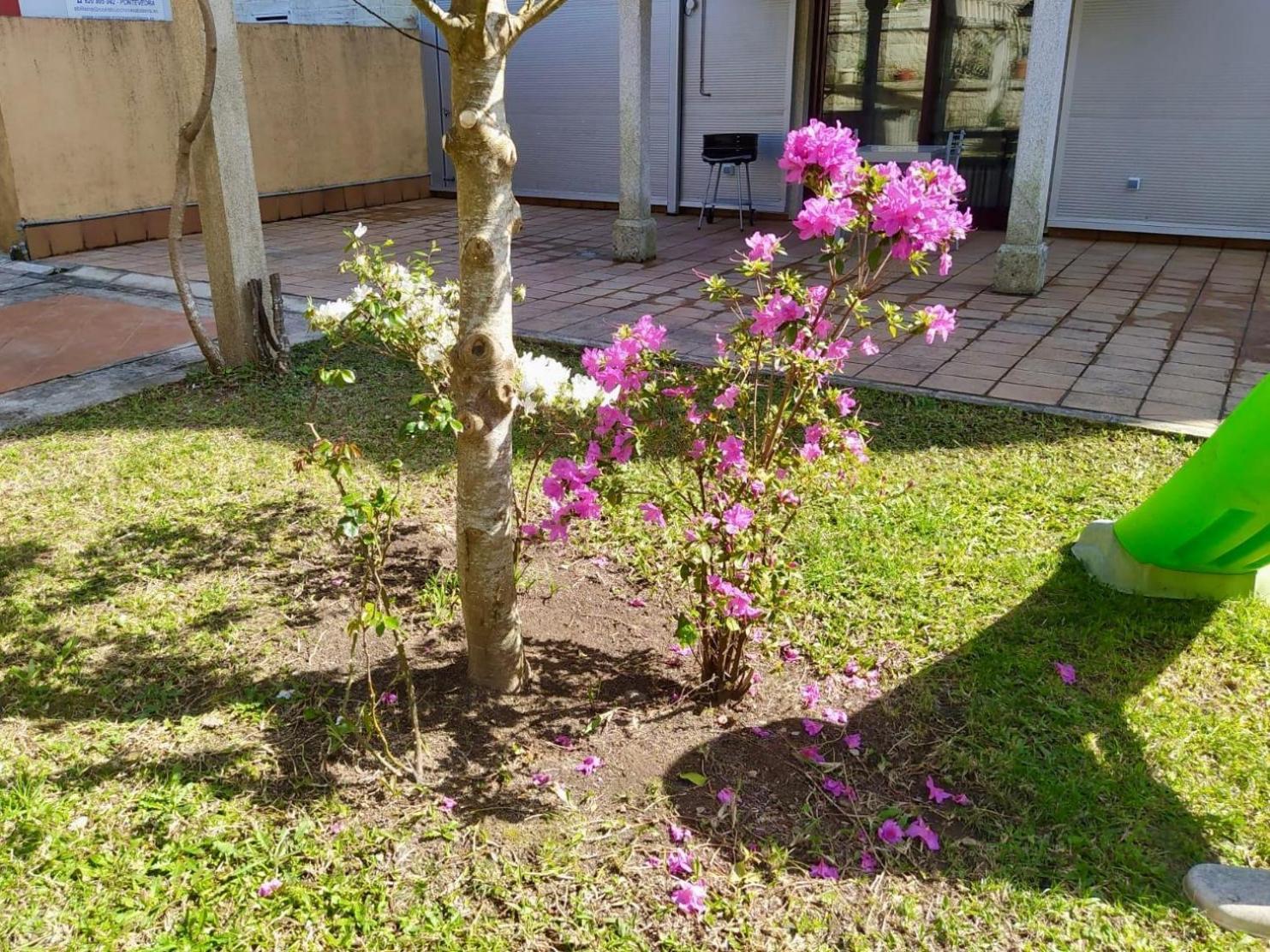 Apartamento Con Jardin Y Piscina Temporada Verano Privados Samieira ภายนอก รูปภาพ