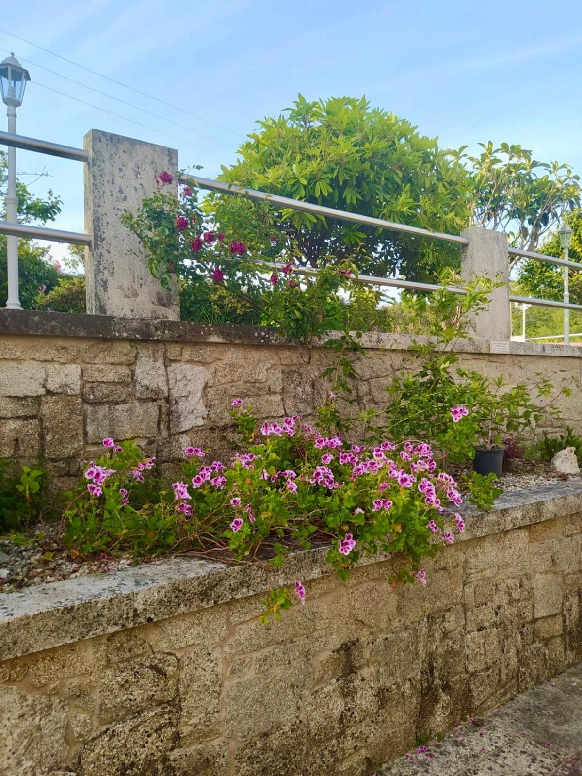 Apartamento Con Jardin Y Piscina Temporada Verano Privados Samieira ภายนอก รูปภาพ